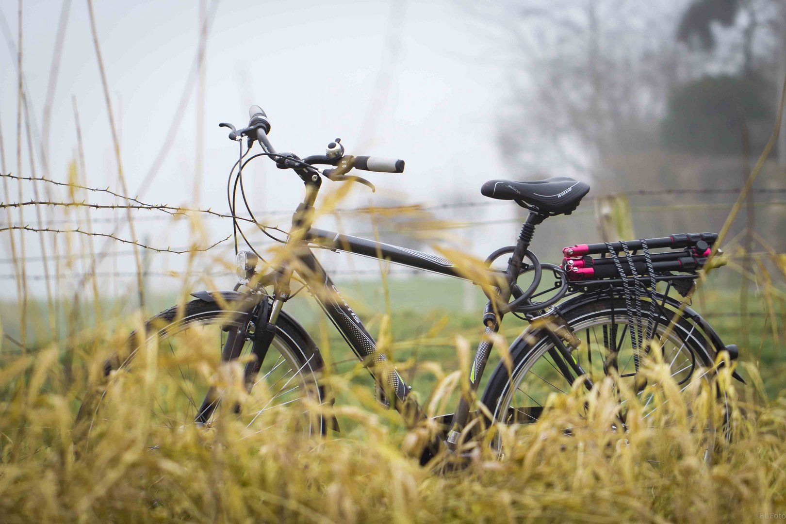 Das Fahrrad eines Fotografen