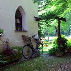 Das Fahrrad im Garten