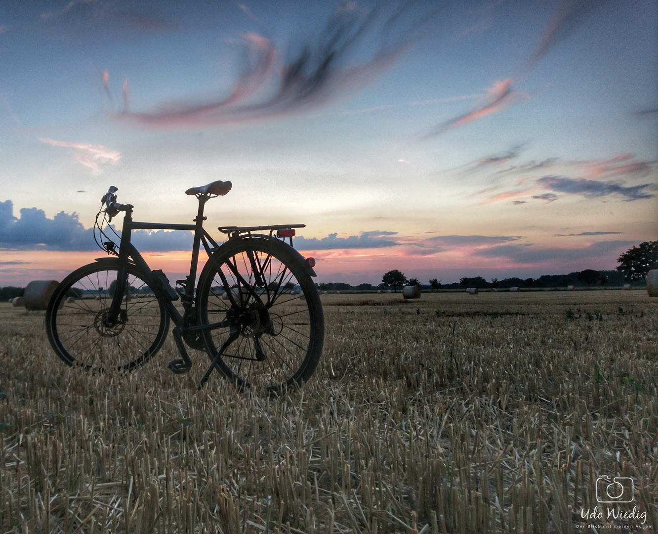 Das Fahrrad im Kornfeld