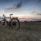 Das Fahrrad im Kornfeld