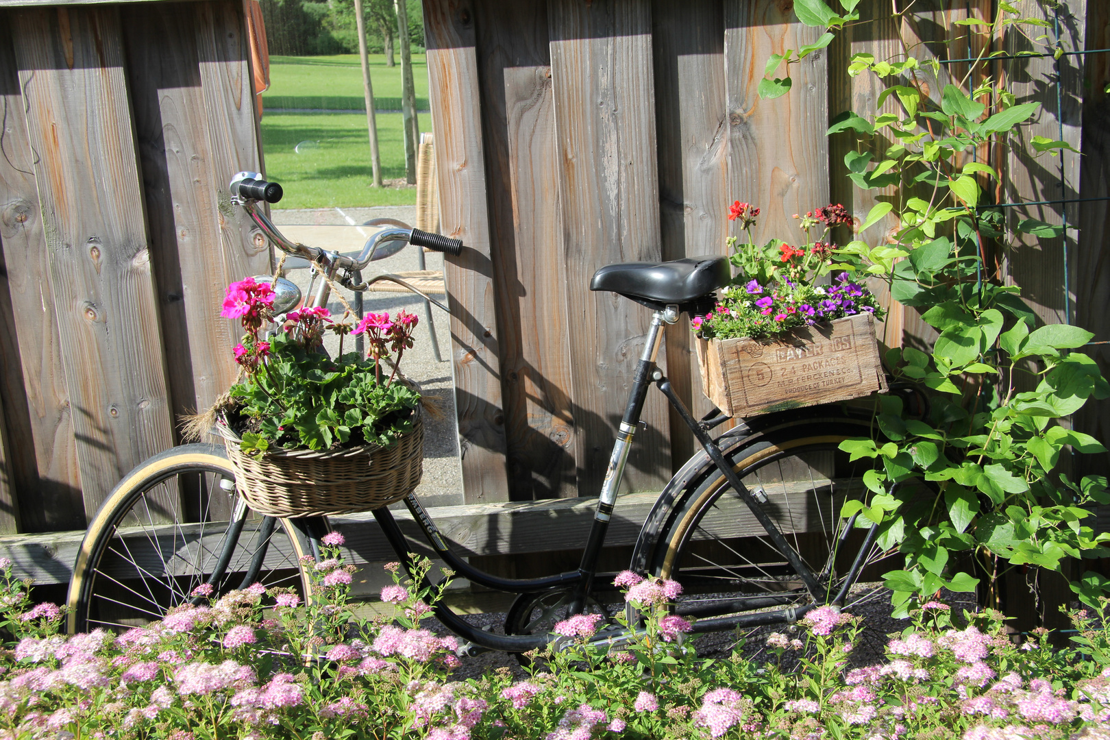 Das Fahrrad im Park