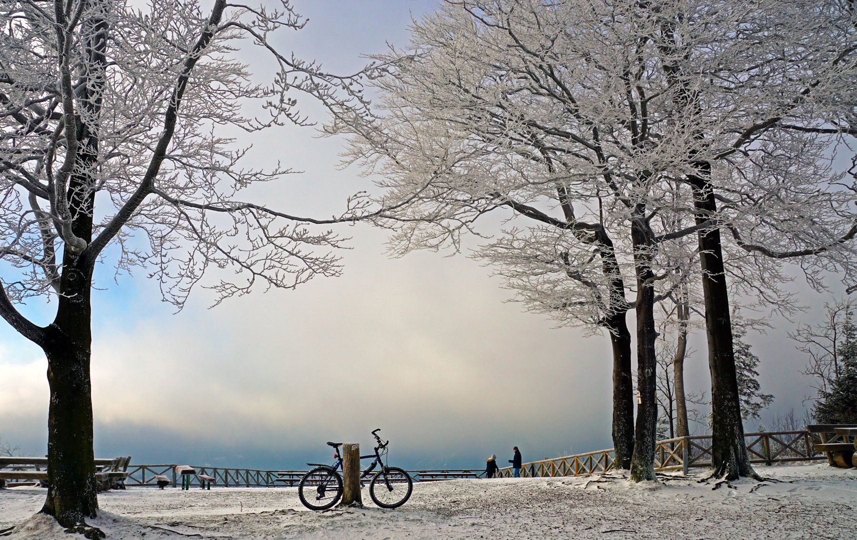 das Fahrrad im Winterwald