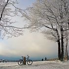 das Fahrrad im Winterwald