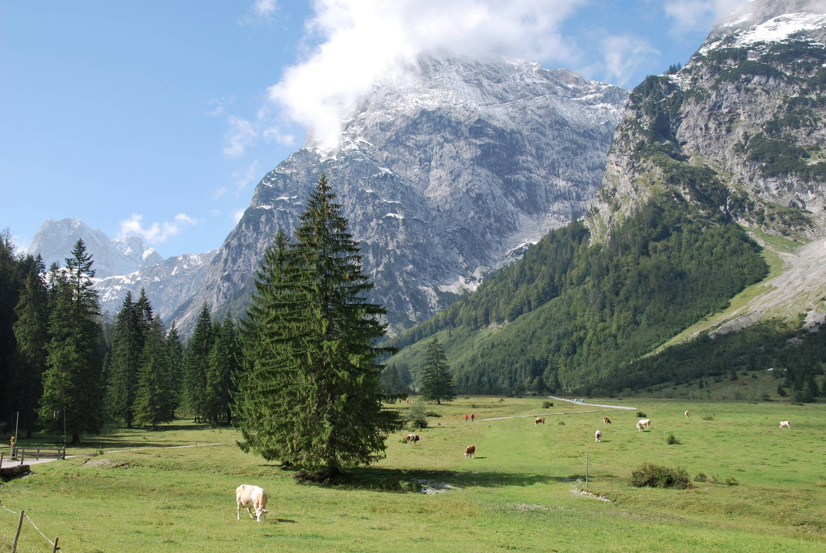 Das Falzthurntal in Österreich