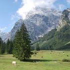 Das Falzthurntal in Österreich