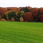 Das Farbenspiel der Natur