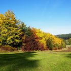 Das Farbenspiel der Natur - Herbst
