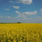 Das Farbenspiel der schönen Natur