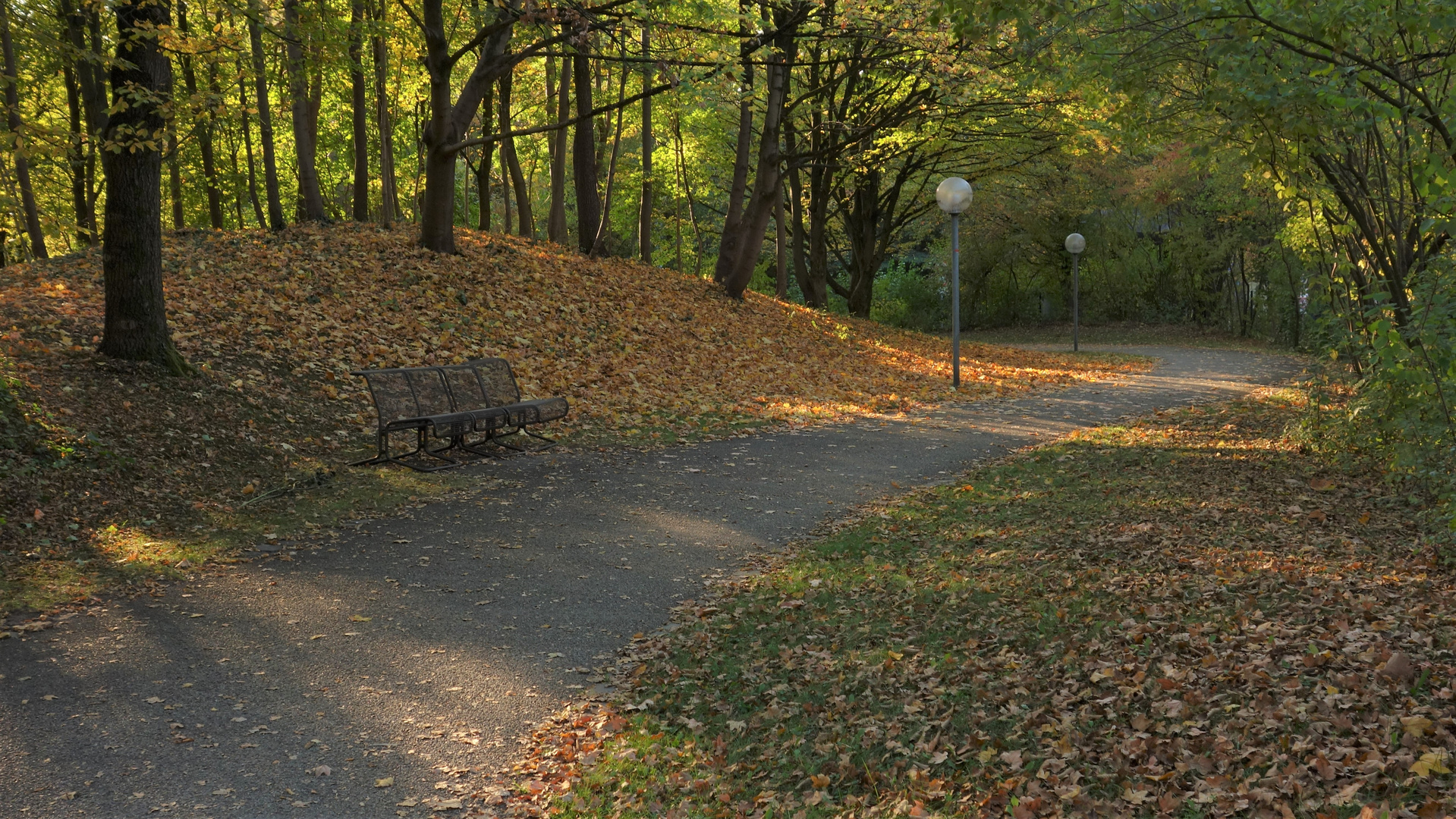 Das Farbenspiel einer tiefstehenden, warmen Herbstsonne. 