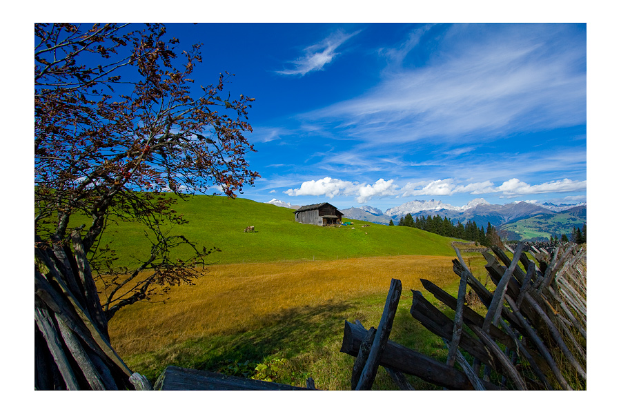 Das Farbspiel der Natur