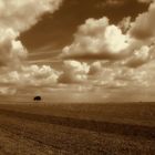 Das Feld, der Baum und die Wolken