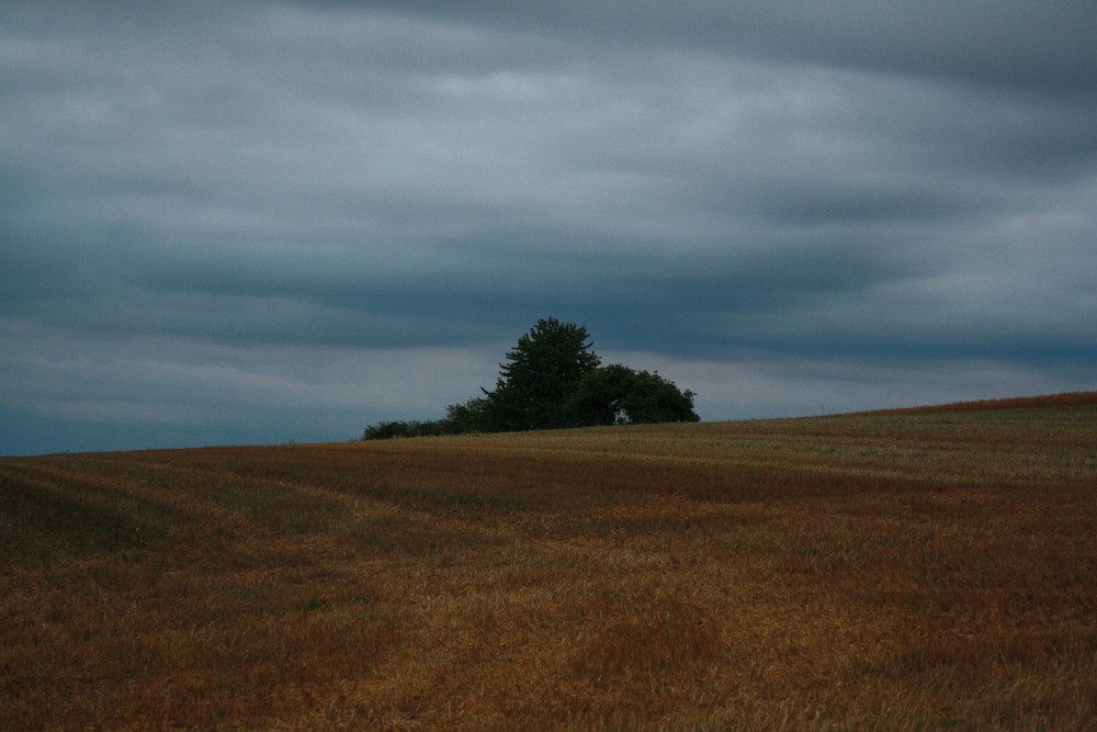 das Feld im Feld...