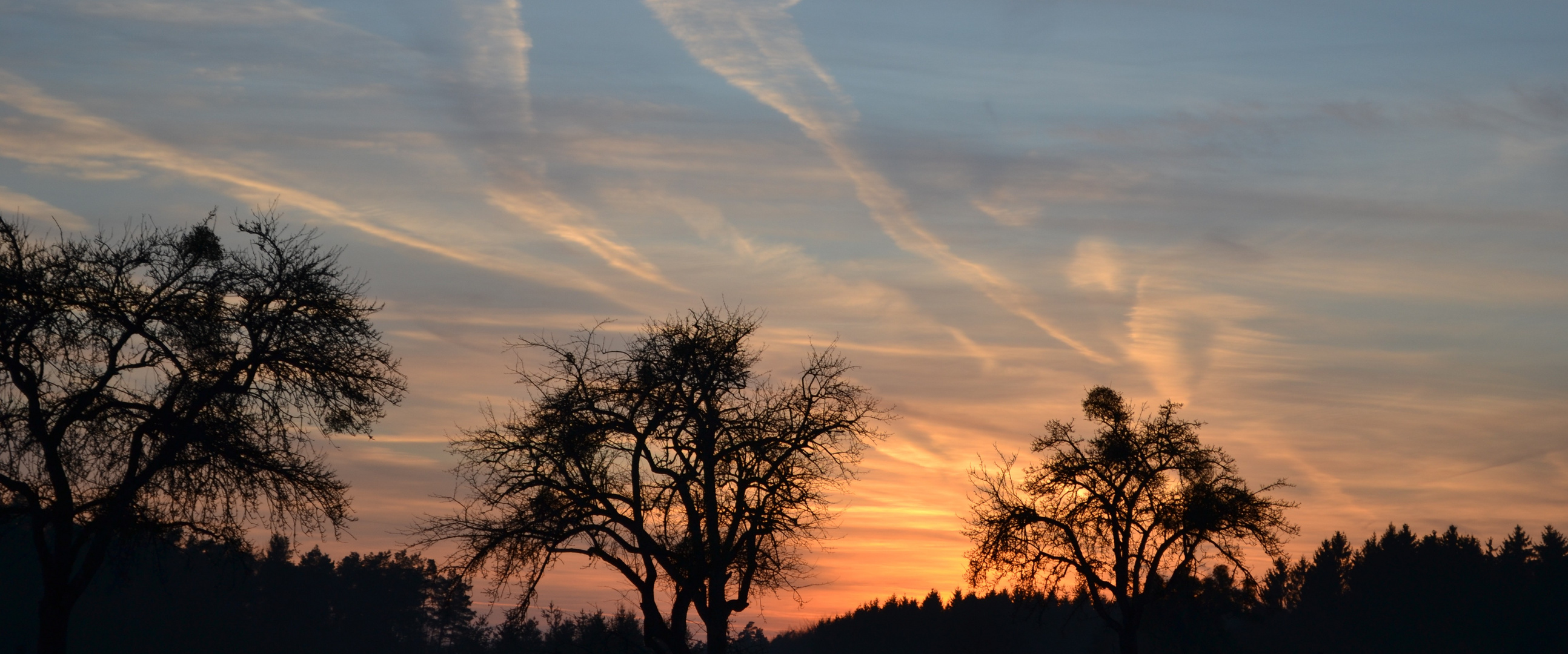 Das Feld im Sonnenuntergang