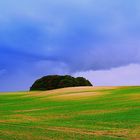 Das Feld ist vorbereitet - der Frühling kann kommen...