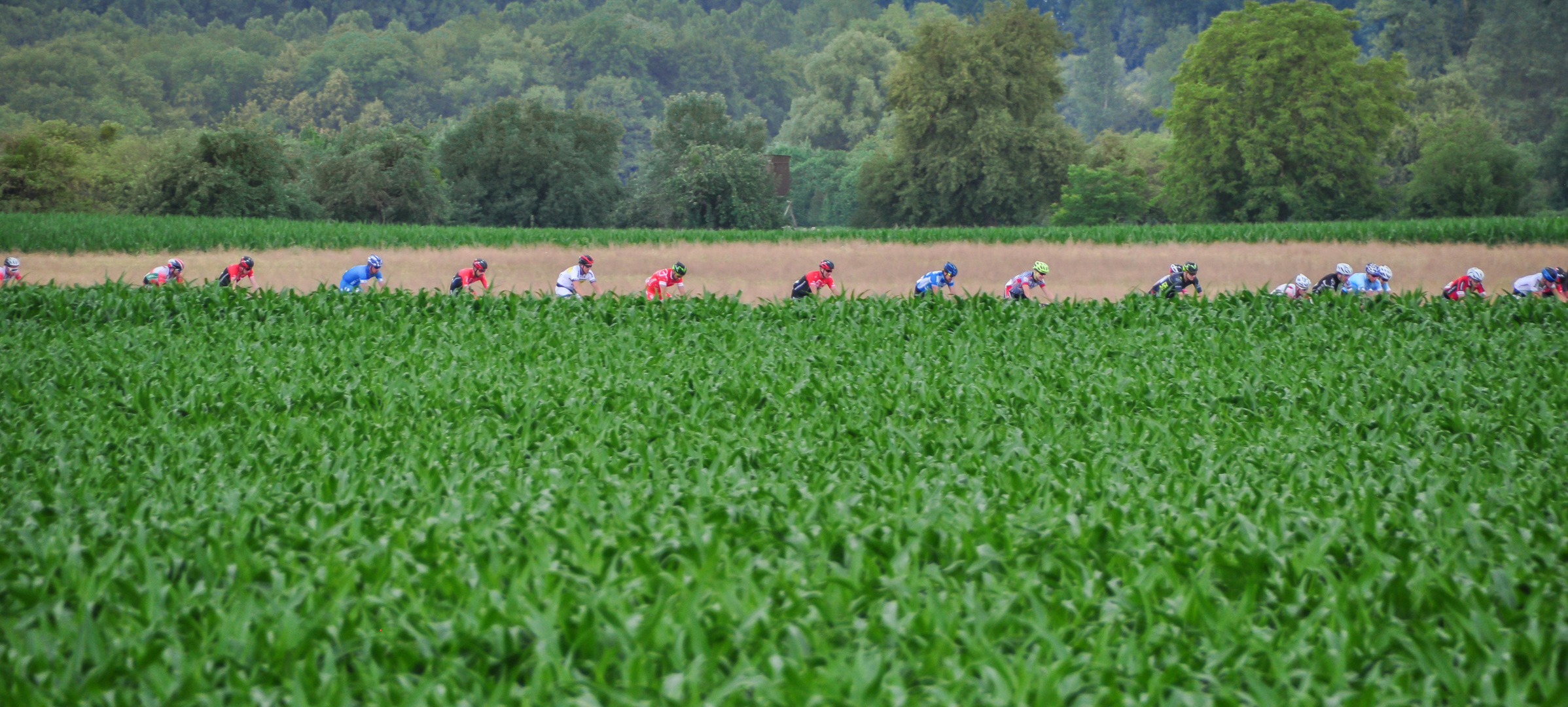 Das Feld kommt