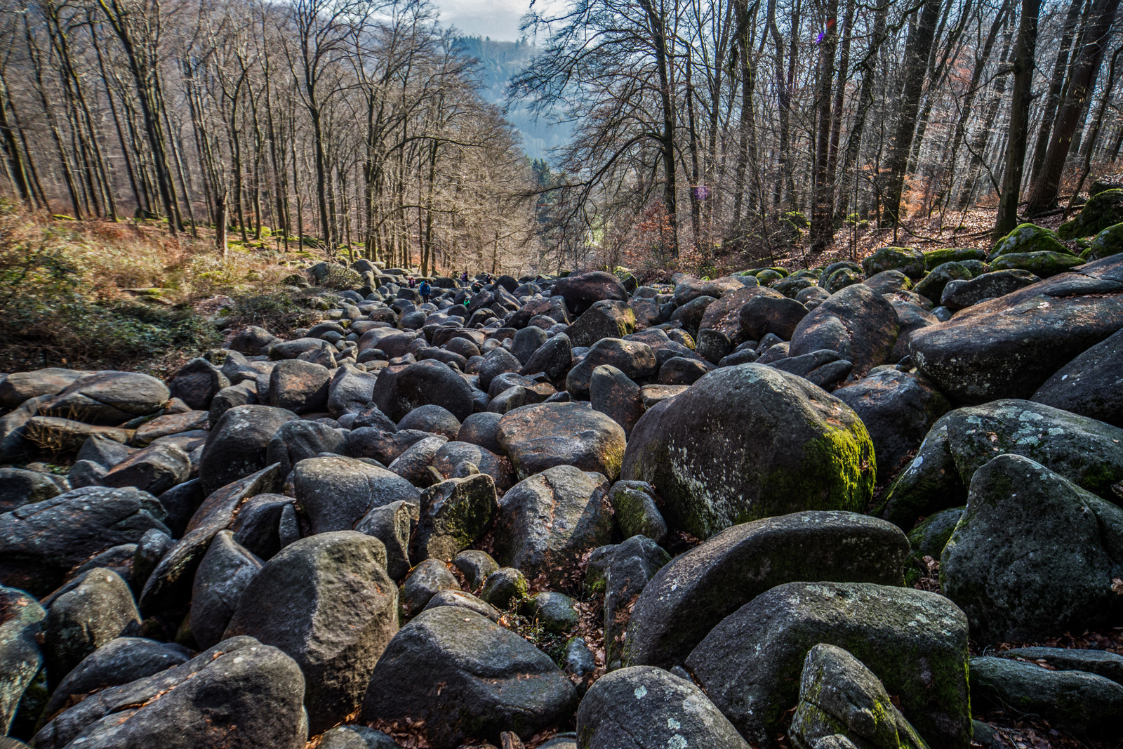 Das Felsenmeer