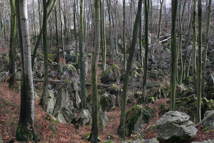 Das Felsenmeer bei Hemer