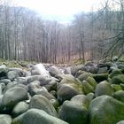 Das Felsenmeer im Odenwald