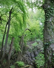 Das Felsenmeer in Hemer