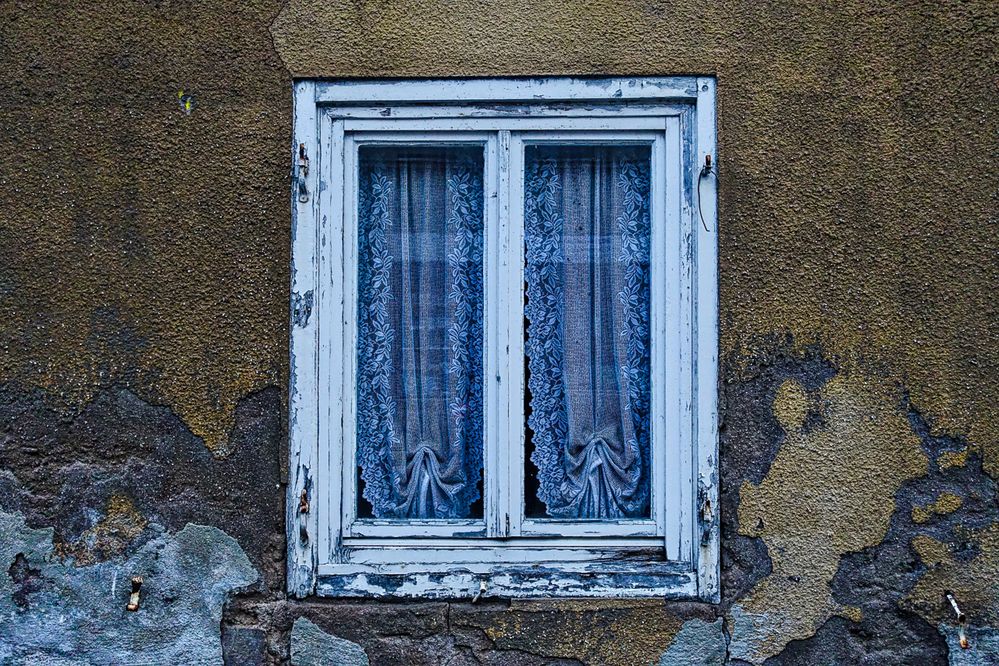 Das Fenster