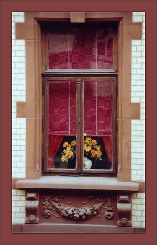 Das Fenster