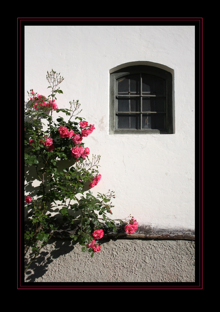 Das Fenster