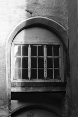 das Fenster