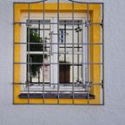 Das Fenster