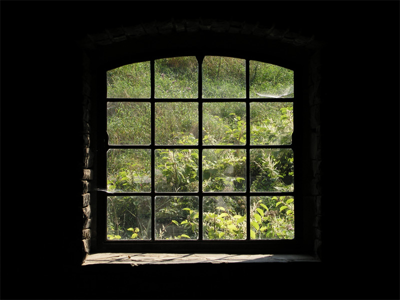 Das Fenster