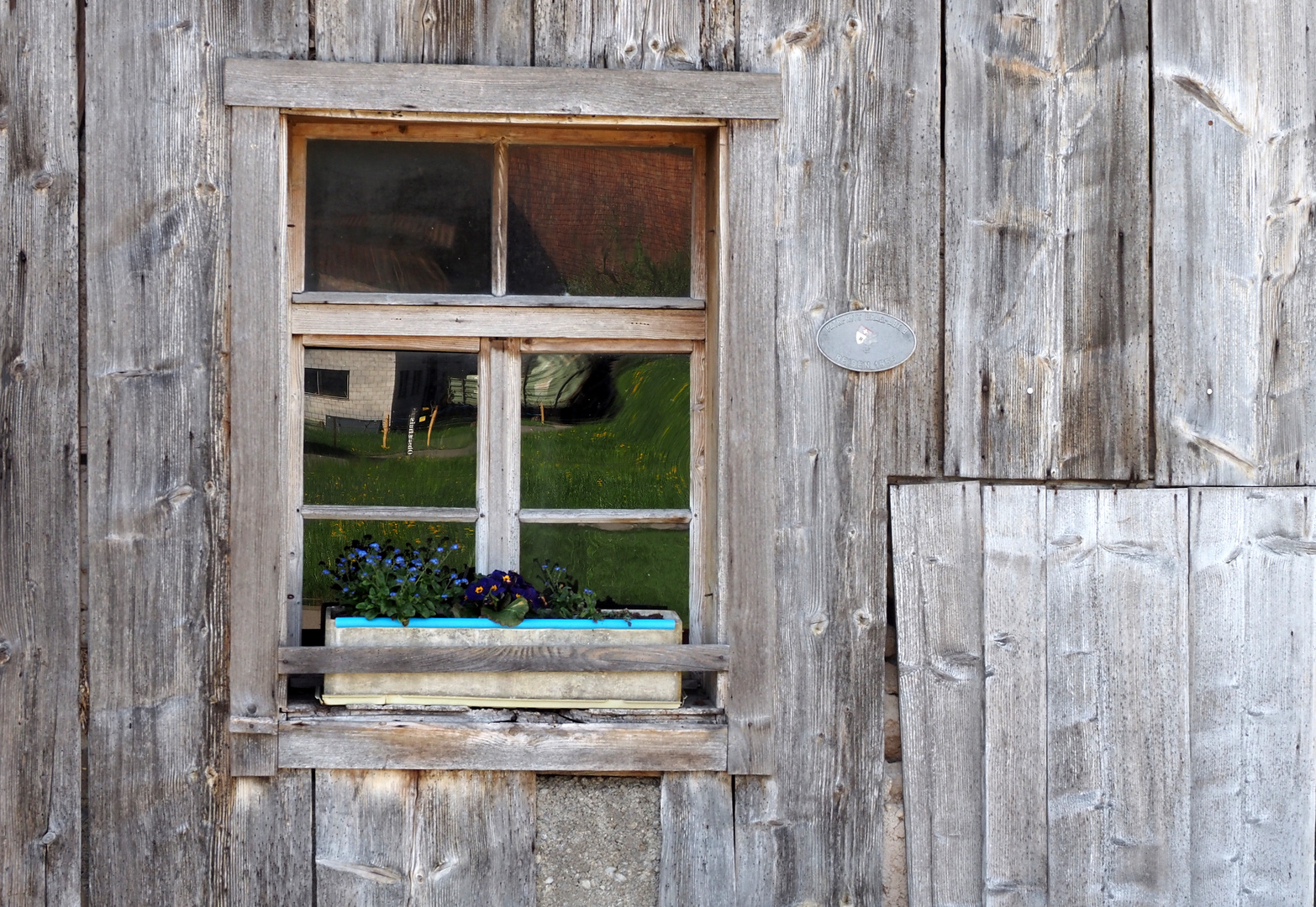 das fenster