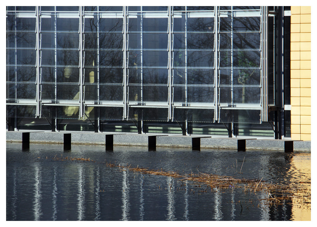 das Fenster am Teich