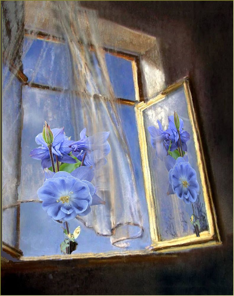 Das Fenster Foto & Bild natur, stillleben, digiart