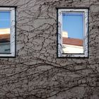 Das Fenster...