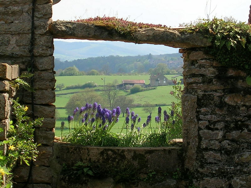 Das Fenster der Natur