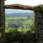 Das Fenster der Natur