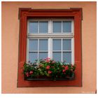 Das Fenster, die Seele eines Hauses. Le fenêtre est l´âme de la maison