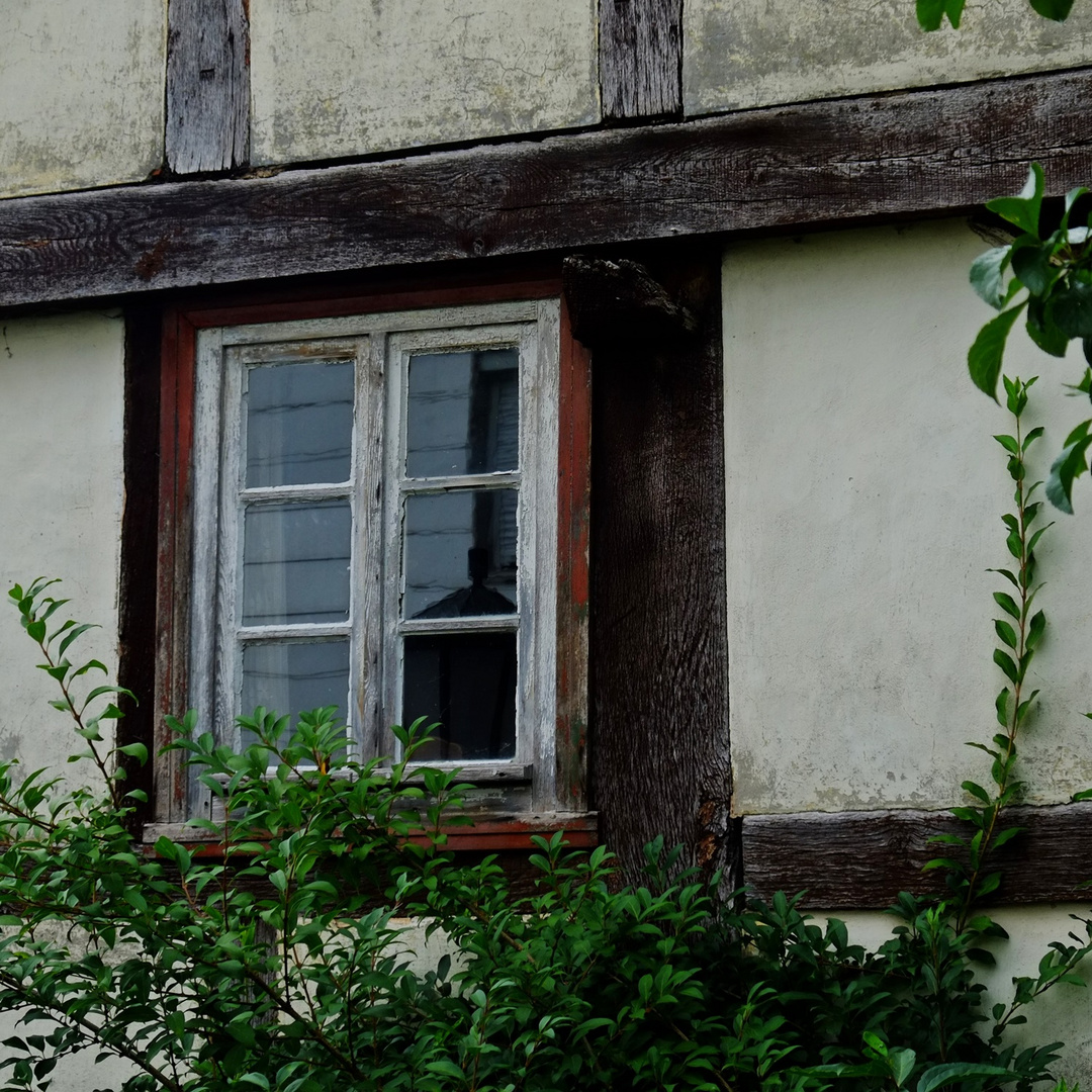 Das Fenster II