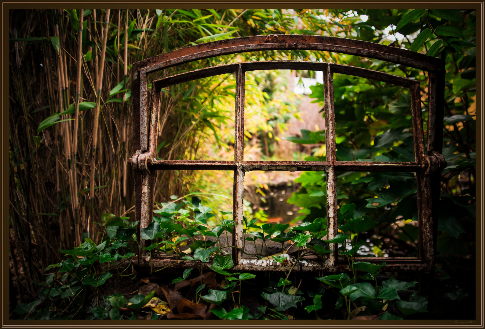 Das Fenster im Garten