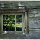 Das Fenster im Wald ..