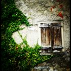 Das Fenster in der Mauer