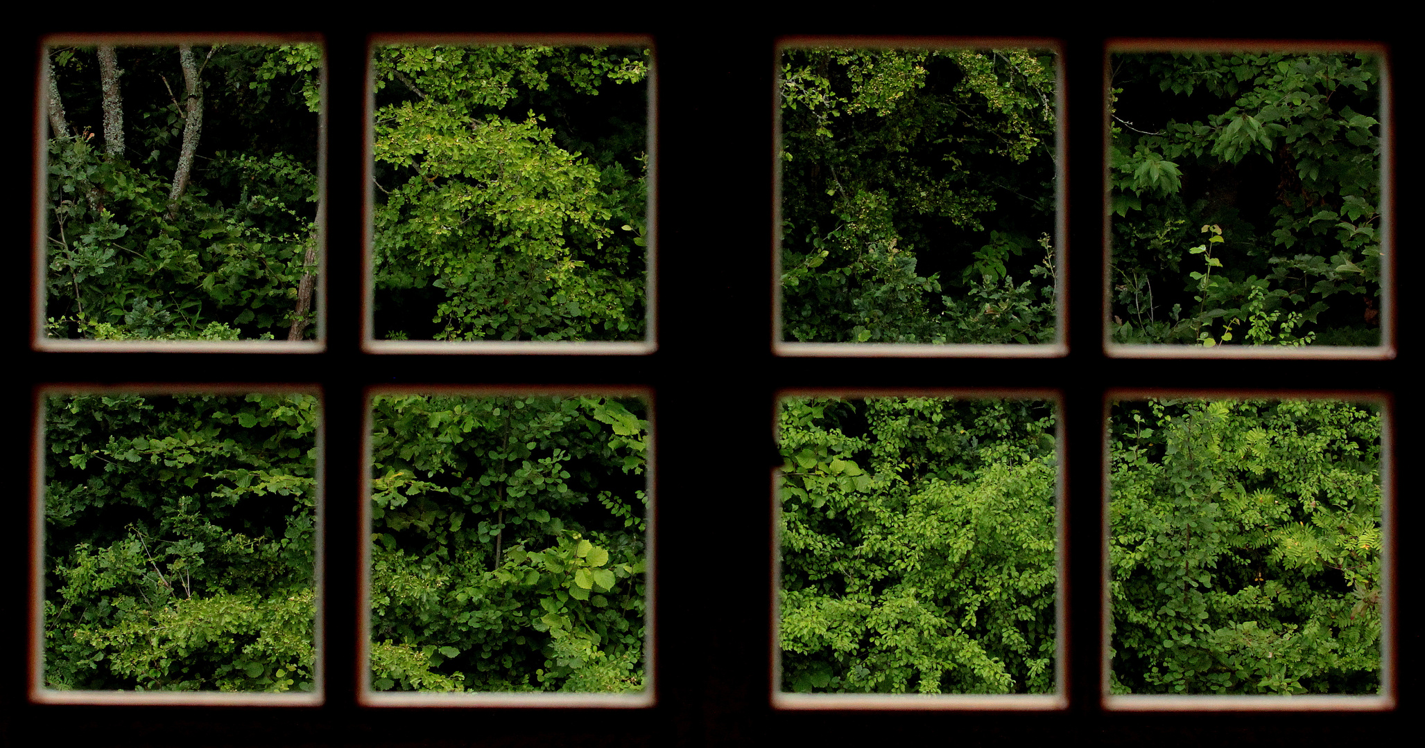 Das Fenster ins Grüne