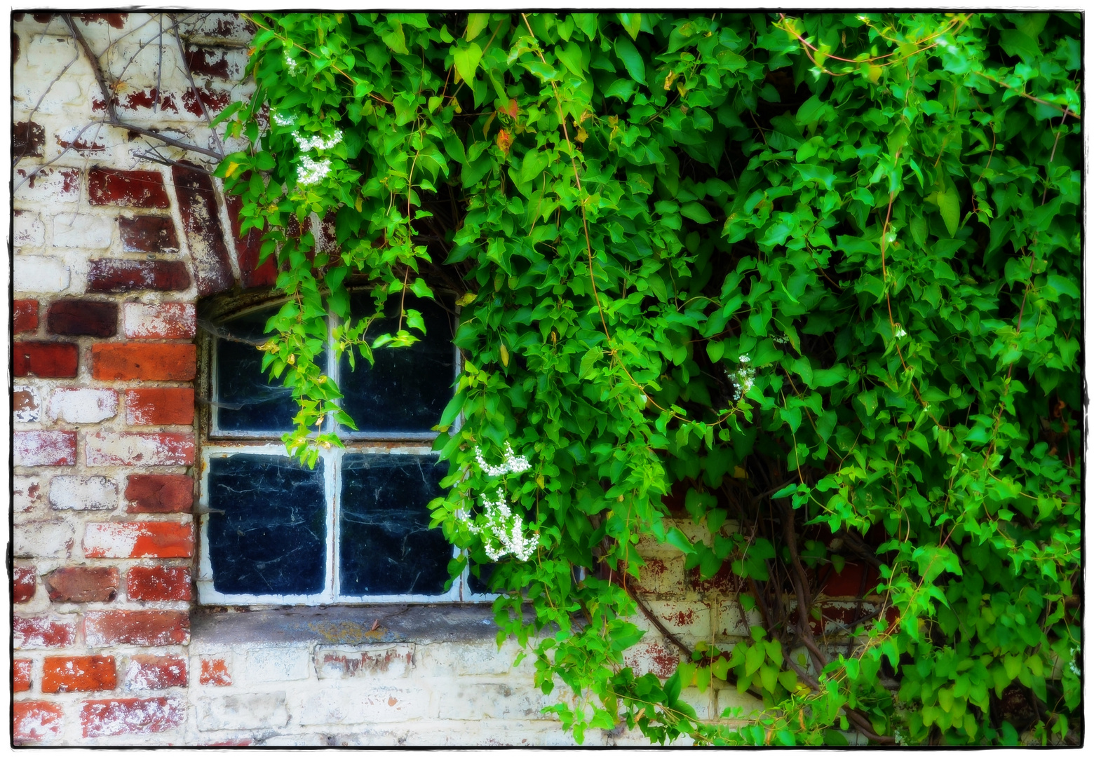 Das Fenster ins Grüne