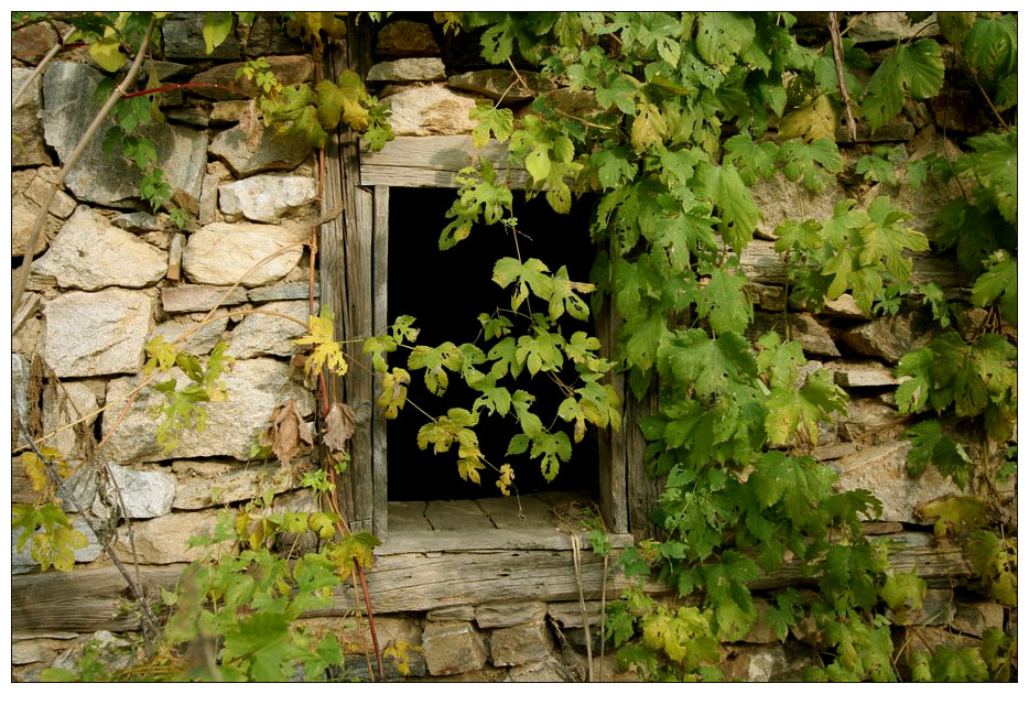 Das Fenster meines Hauses