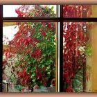 Das Fenster mit Herbstkleid 