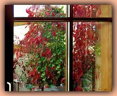 Das Fenster mit Herbstkleid 