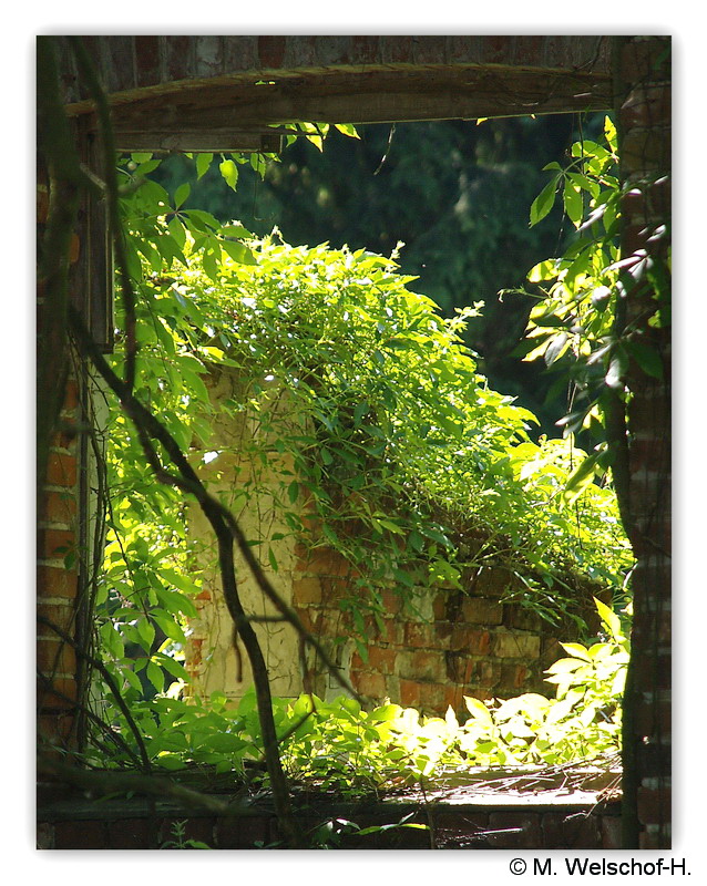 Das Fenster nach 50 Jahren.......