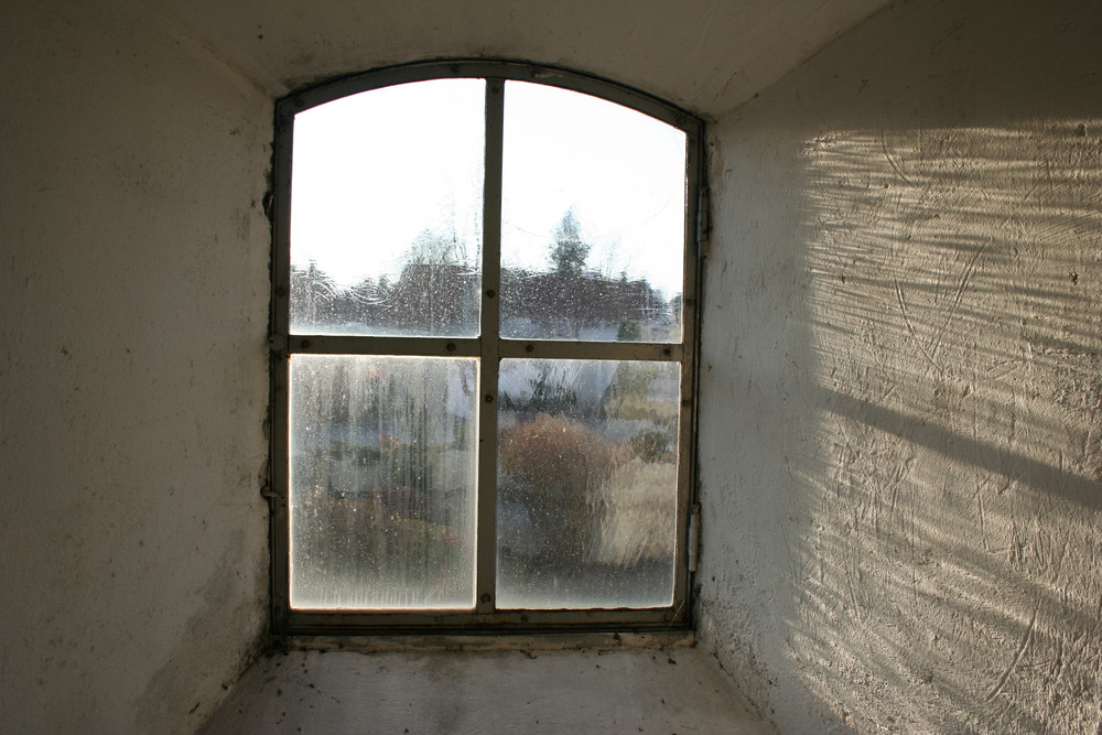 das Fenster nach draußen