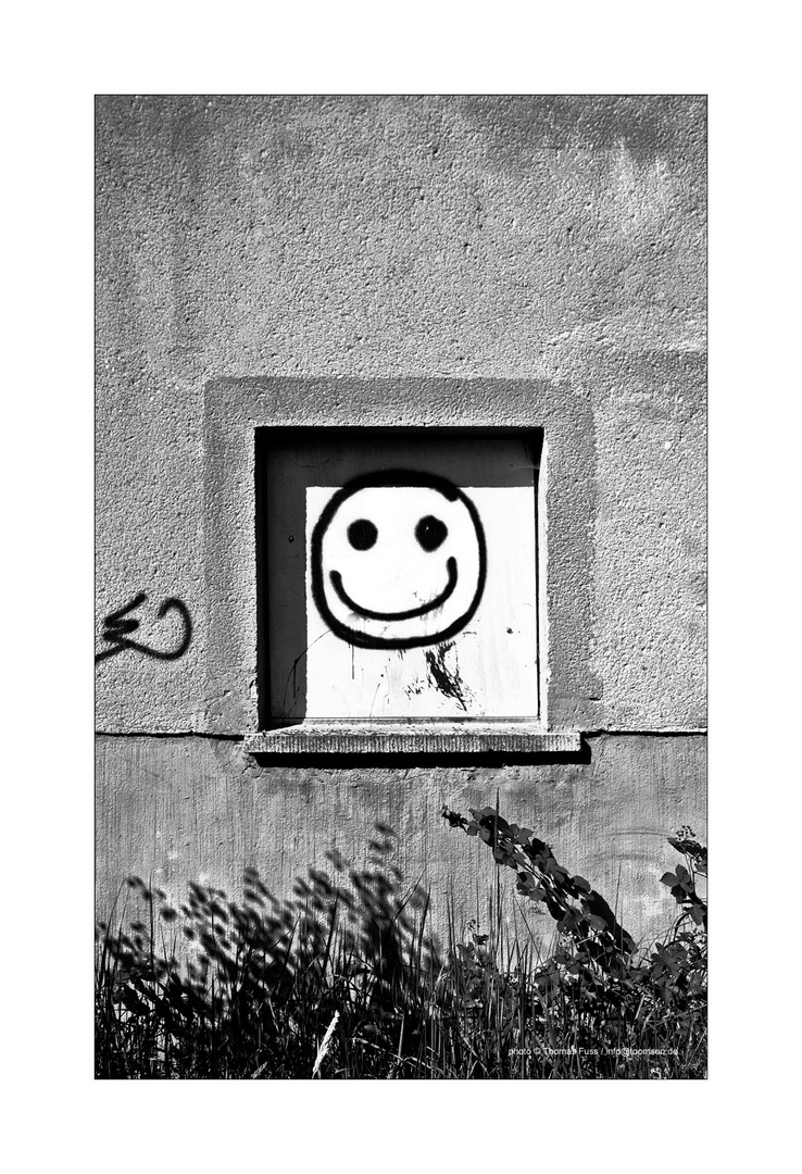 Das Fenster und der Smiley