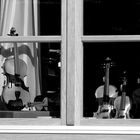 Das Fenster voller Geigen  