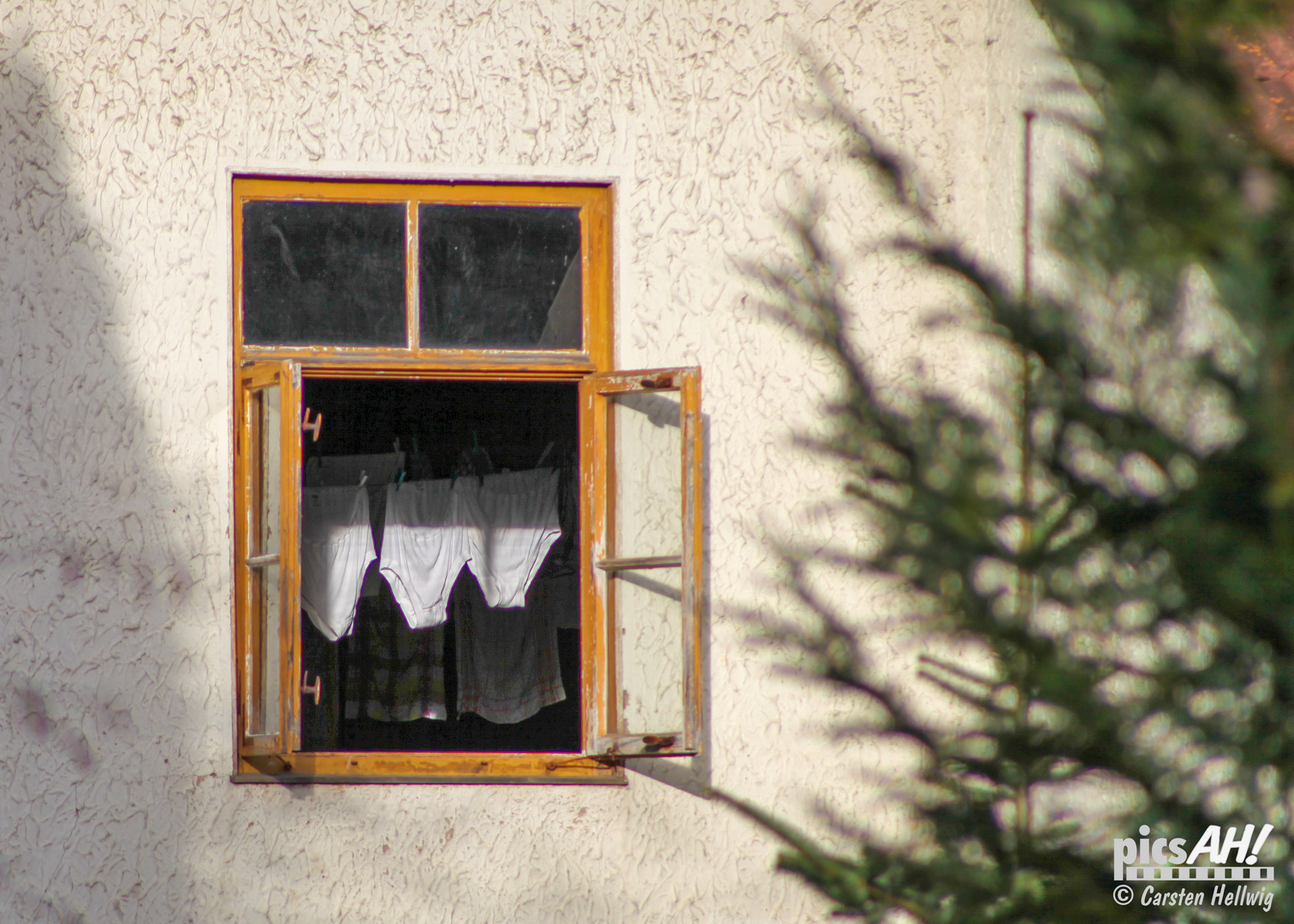 Das Fenster vom Hof II